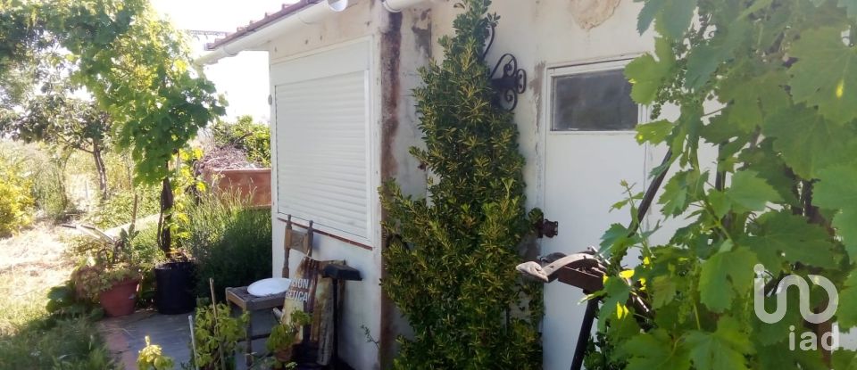 Terreno de 1.529 m² en Malcocinado (06928)