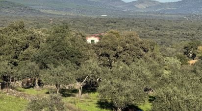 Cottage 4 bedrooms of 658 m² in Cala (21270)