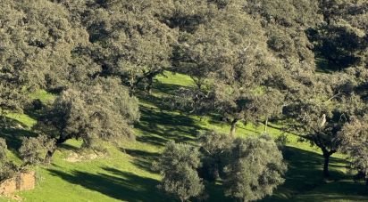 Cottage 4 bedrooms of 658 m² in Cala (21270)