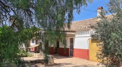 Country home 5 bedrooms of 130 m² in Alcanara (30813)