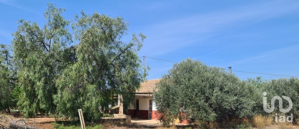 Casa rústica 5 habitaciones de 130 m² en Alcanara (30813)