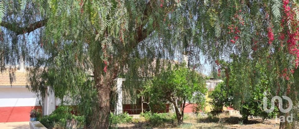 Casa rústica 5 habitaciones de 130 m² en Alcanara (30813)