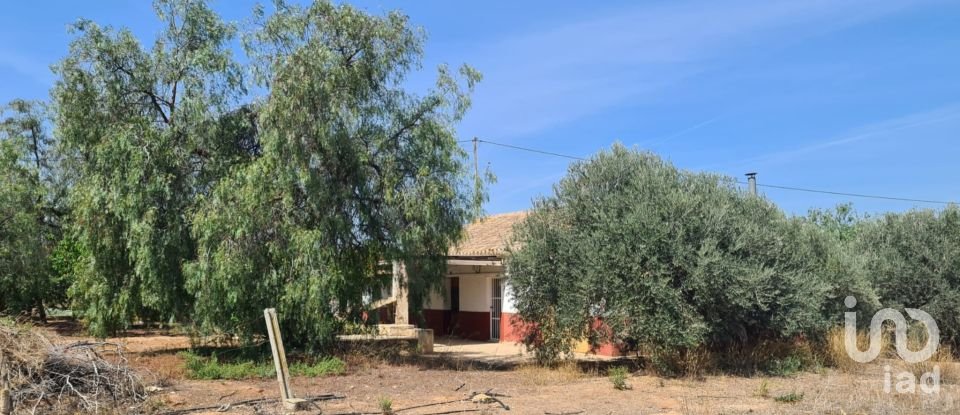 Casa rústica 5 habitaciones de 130 m² en Alcanara (30813)