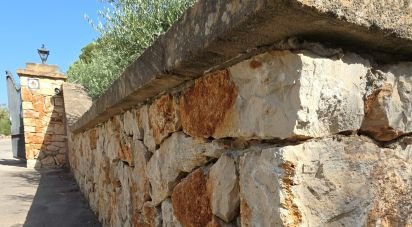 Land of 53,503 m² in Cala Marsal (07670)