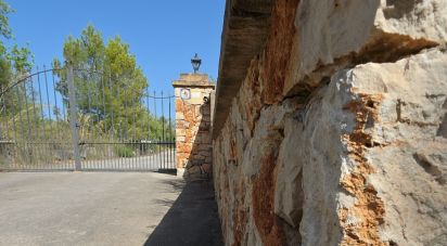 Land of 53,503 m² in Cala Marsal (07670)