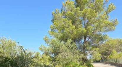 Land of 53,503 m² in Cala Marsal (07670)