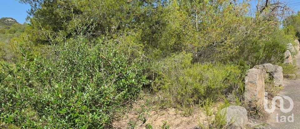 Land of 53,503 m² in Cala Marsal (07670)