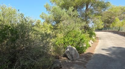 Land of 53,503 m² in Cala Marsal (07670)