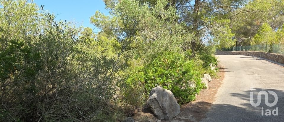 Land of 53,503 m² in Cala Marsal (07670)