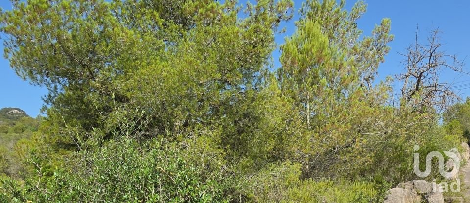 Land of 53,503 m² in Cala Marsal (07670)