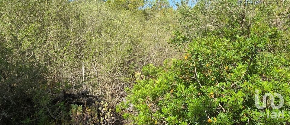 Land of 53,503 m² in Cala Marsal (07670)