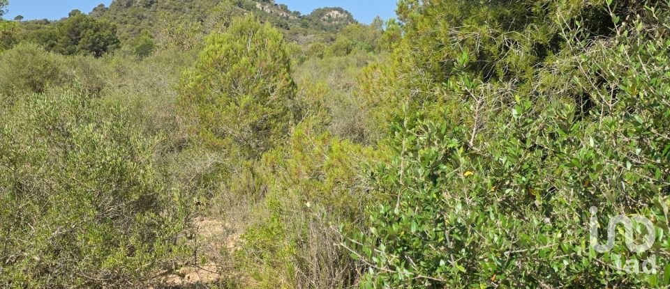 Land of 53,503 m² in Cala Marsal (07670)