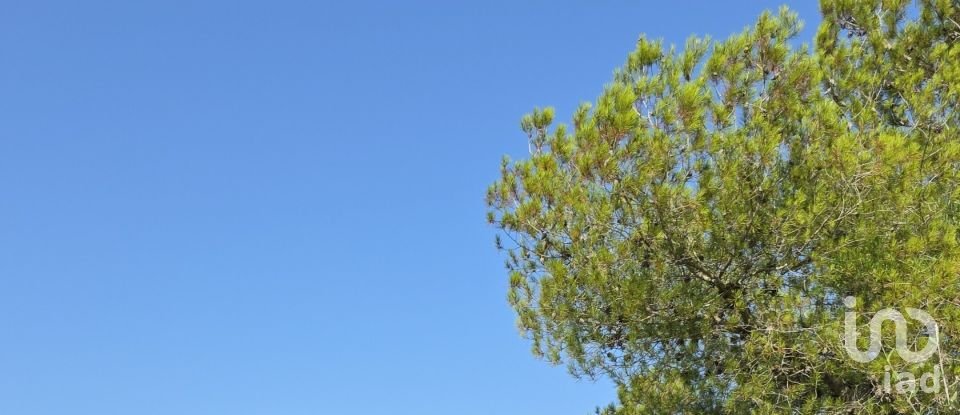 Land of 53,503 m² in Cala Marsal (07670)