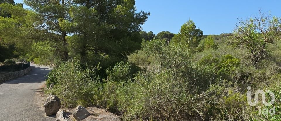 Land of 53,503 m² in Cala Marsal (07670)