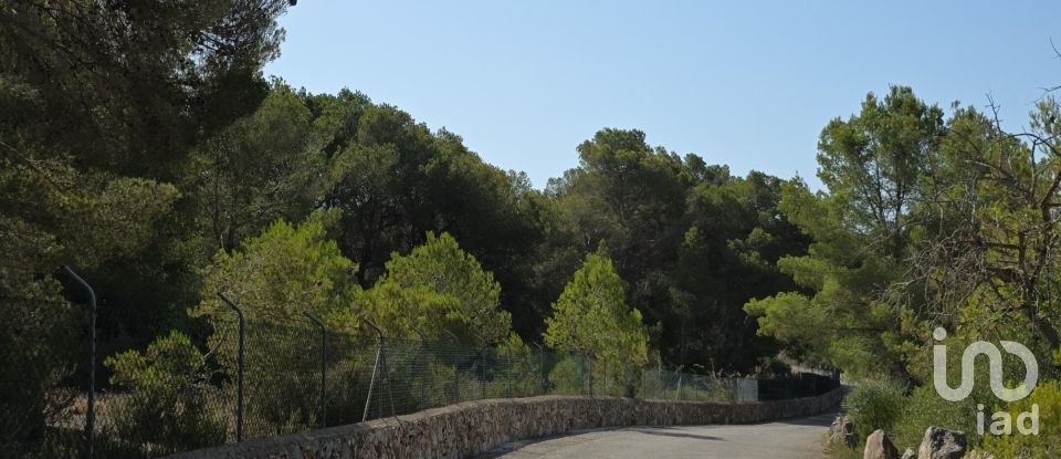 Land of 53,503 m² in Cala Marsal (07670)