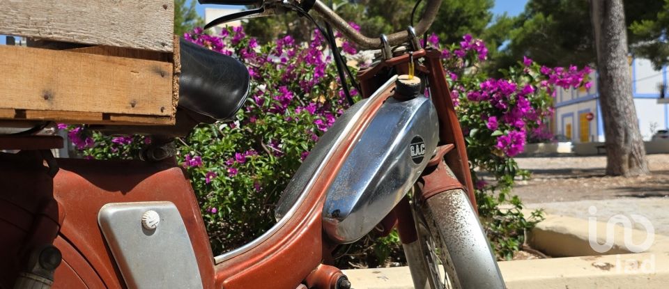 Land of 53,503 m² in Cala Marsal (07670)