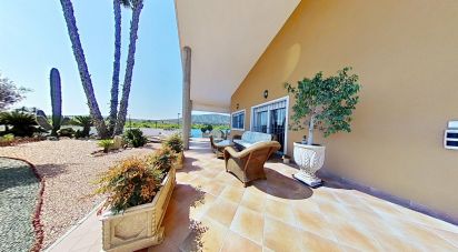 Cottage 5 bedrooms of 477 m² in Correntias Medias (03321)