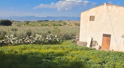 House 4 bedrooms of 140 m² in Purias (30813)