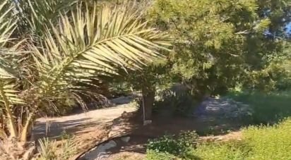 House 4 bedrooms of 140 m² in Purias (30813)