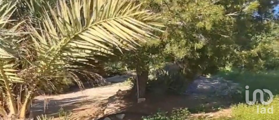 House 4 bedrooms of 140 m² in Purias (30813)