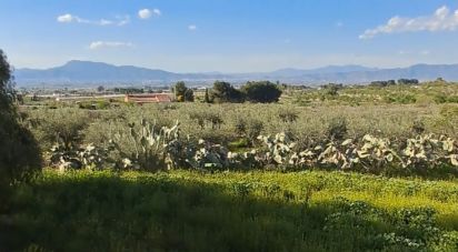 House 4 bedrooms of 140 m² in Purias (30813)