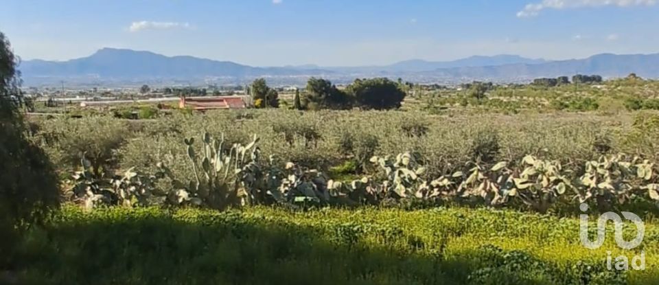 House 4 bedrooms of 140 m² in Purias (30813)