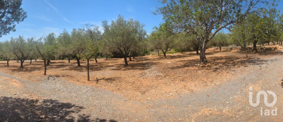 Casa rústica 1 habitación de 50 m² en Benicarló (12580)