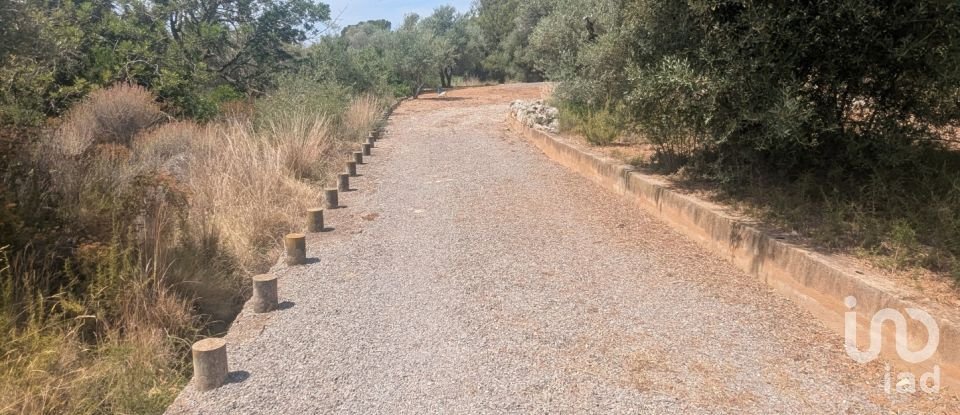 Casa rústica 1 habitación de 50 m² en Benicarló (12580)