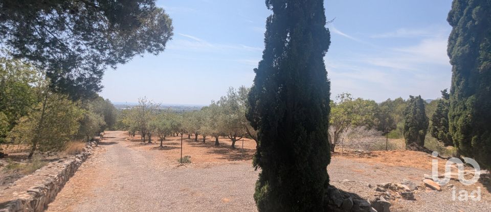 Casa rústica 1 habitación de 50 m² en Benicarló (12580)