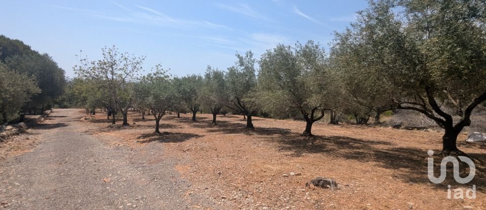 Casa rústica 1 habitación de 50 m² en Benicarló (12580)