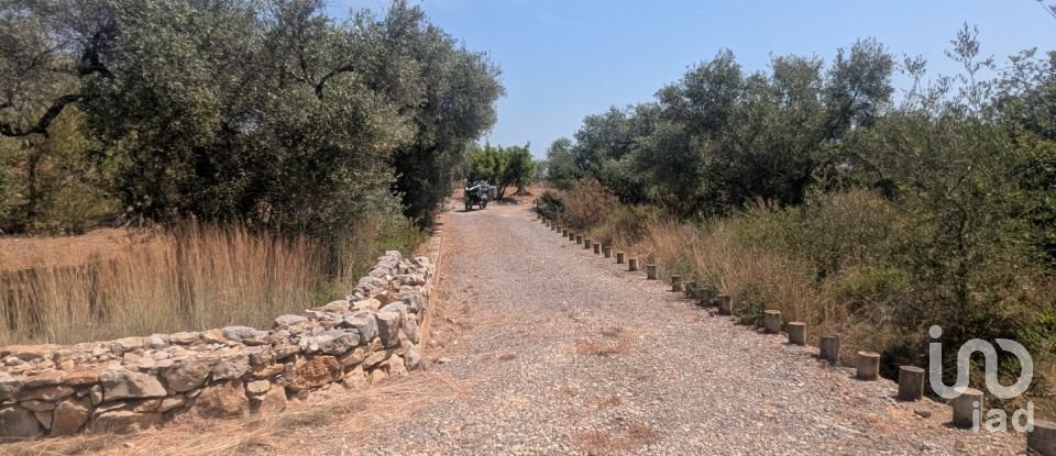 Casa rústica 1 habitación de 50 m² en Benicarló (12580)