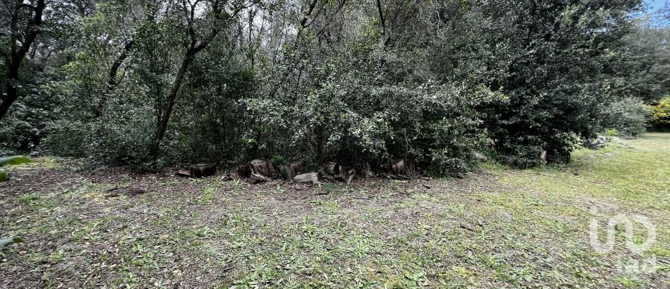 Apartment in house  4 bedrooms of 117 m² in Canyamars (08318)