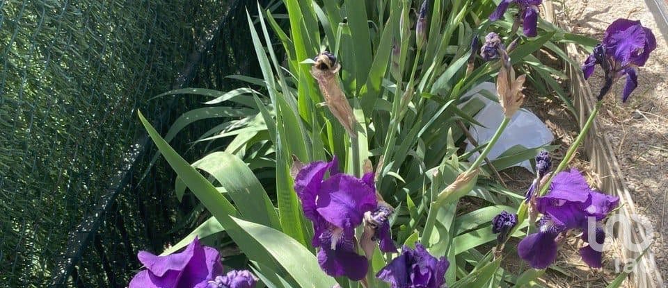 Casa 2 habitacions de 124 m² a Alella (08328)