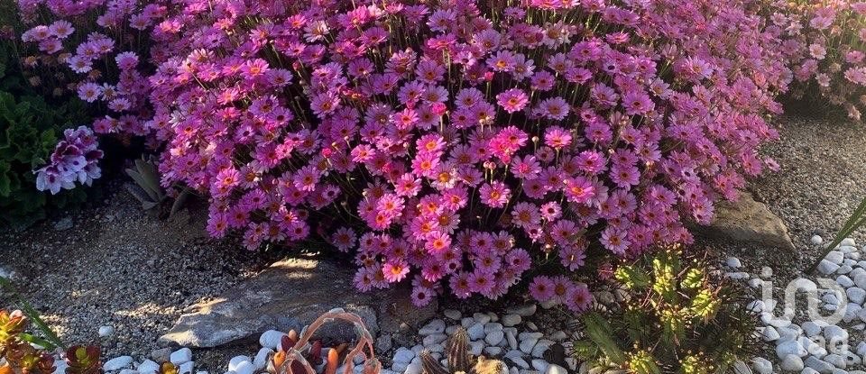 Casa 2 habitacions de 124 m² a Alella (08328)