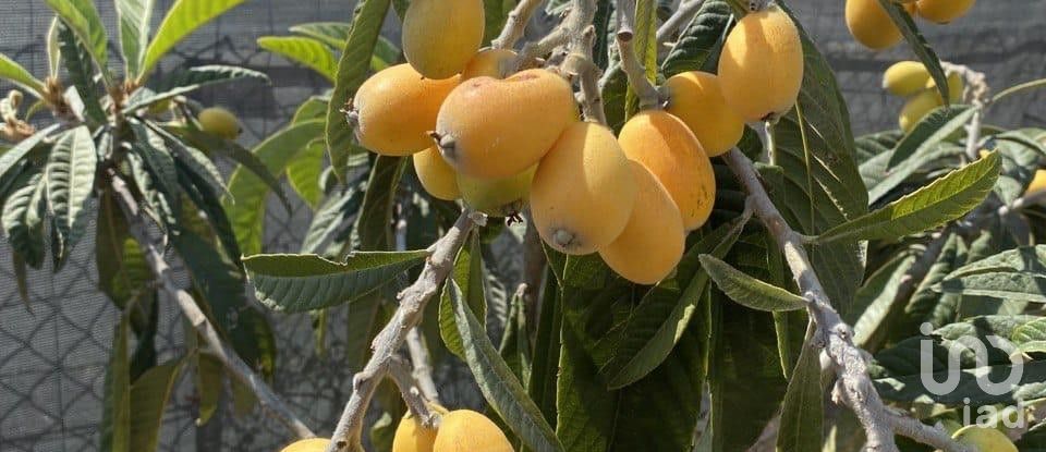 Casa 2 habitacions de 124 m² a Alella (08328)