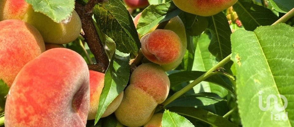 Casa 2 habitacions de 124 m² a Alella (08328)