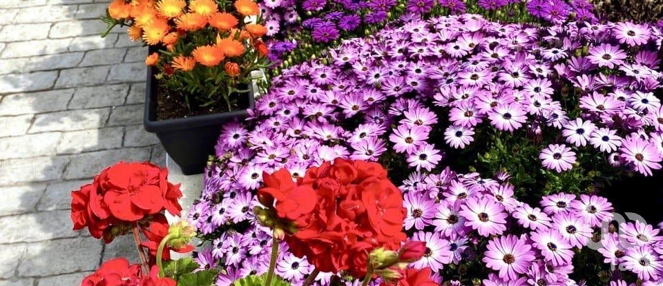 Casa 2 habitacions de 124 m² a Alella (08328)