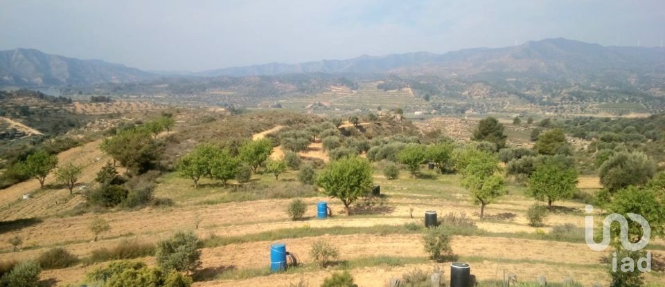 Farm land of 14,076 m² in Riba-Roja d'Ebre (43790)