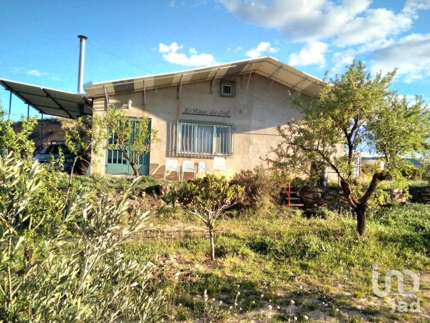 Farm land of 14,076 m² in Riba-Roja d'Ebre (43790)