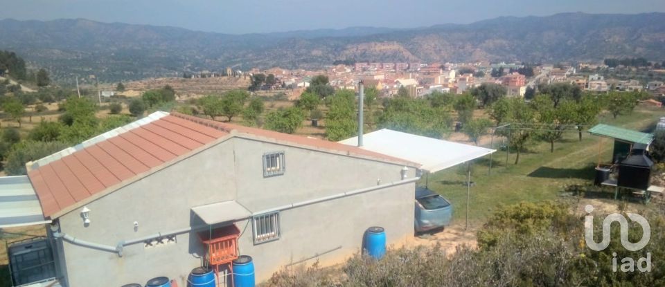 Farm land of 14,076 m² in Riba-Roja d'Ebre (43790)