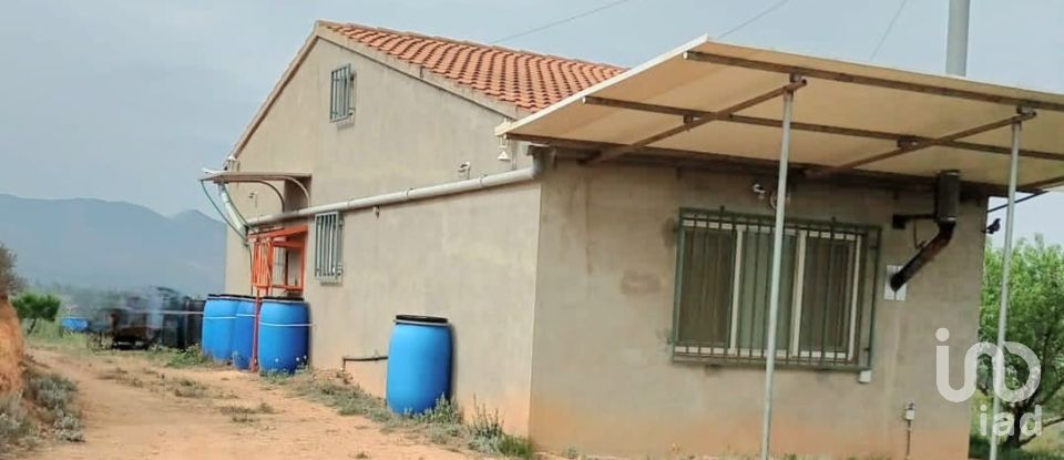 Farm land of 14,076 m² in Riba-Roja d'Ebre (43790)