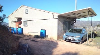 Farm land of 14,076 m² in Riba-Roja d'Ebre (43790)
