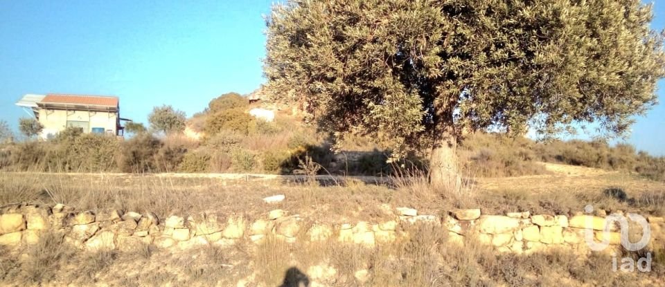 Farm land of 14,076 m² in Riba-Roja d'Ebre (43790)