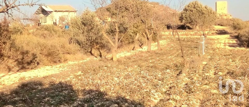 Farm land of 14,076 m² in Riba-Roja d'Ebre (43790)