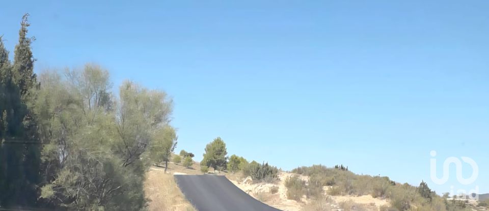 Farm land of 14,076 m² in Riba-Roja d'Ebre (43790)