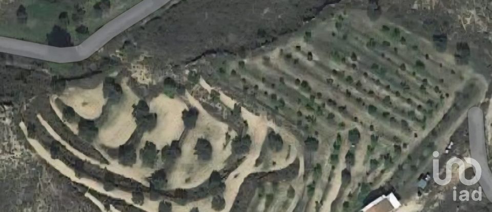 Farm land of 14,076 m² in Riba-Roja d'Ebre (43790)