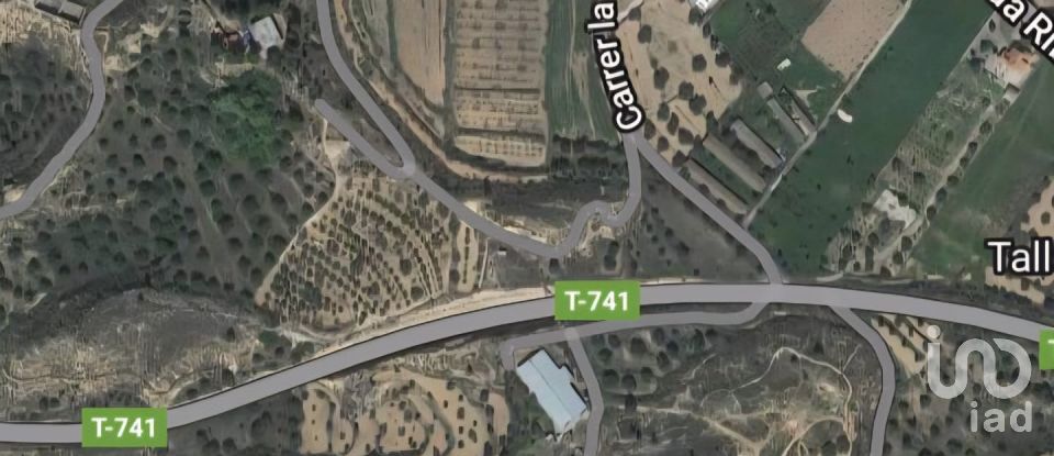 Farm land of 14,076 m² in Riba-Roja d'Ebre (43790)