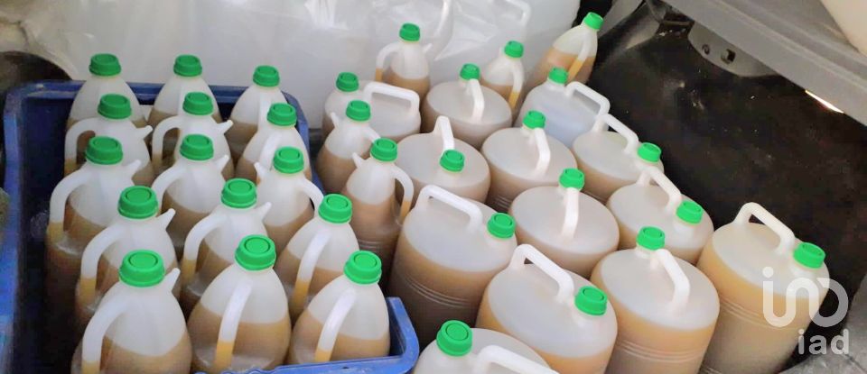 Farm land of 14,076 m² in Riba-Roja d'Ebre (43790)