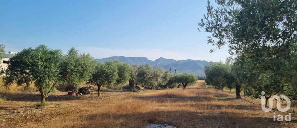 Terreno de 6.093 m² en Ginestar (43748)