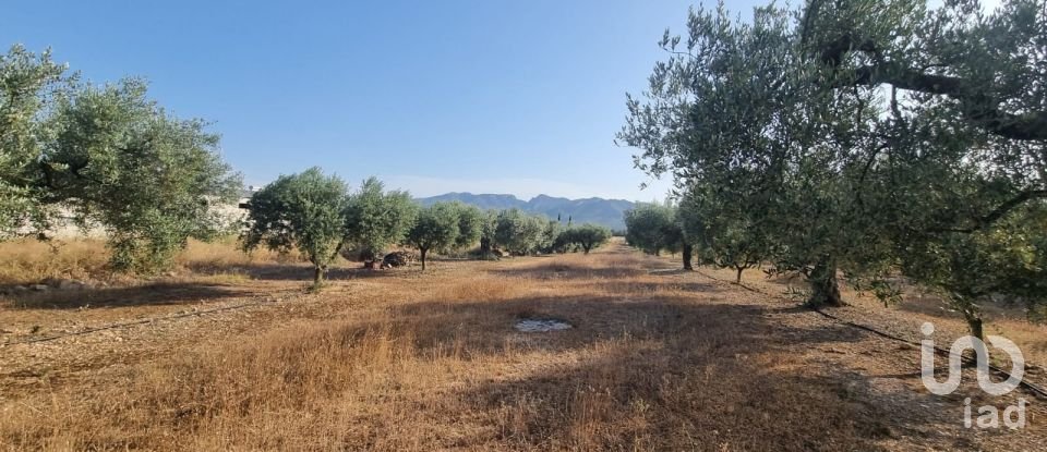 Terreno de 6.093 m² en Ginestar (43748)